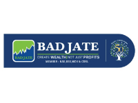 Badjate Wealth Private Limited logo