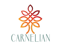 Carnelian Asset Management and  Advisors Pvt Ltd logo
