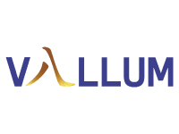 Vallum Capital Advisor Pvt Ltd logo